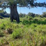 Maduru Oya National Park, hidden wonders, Sri Lanka