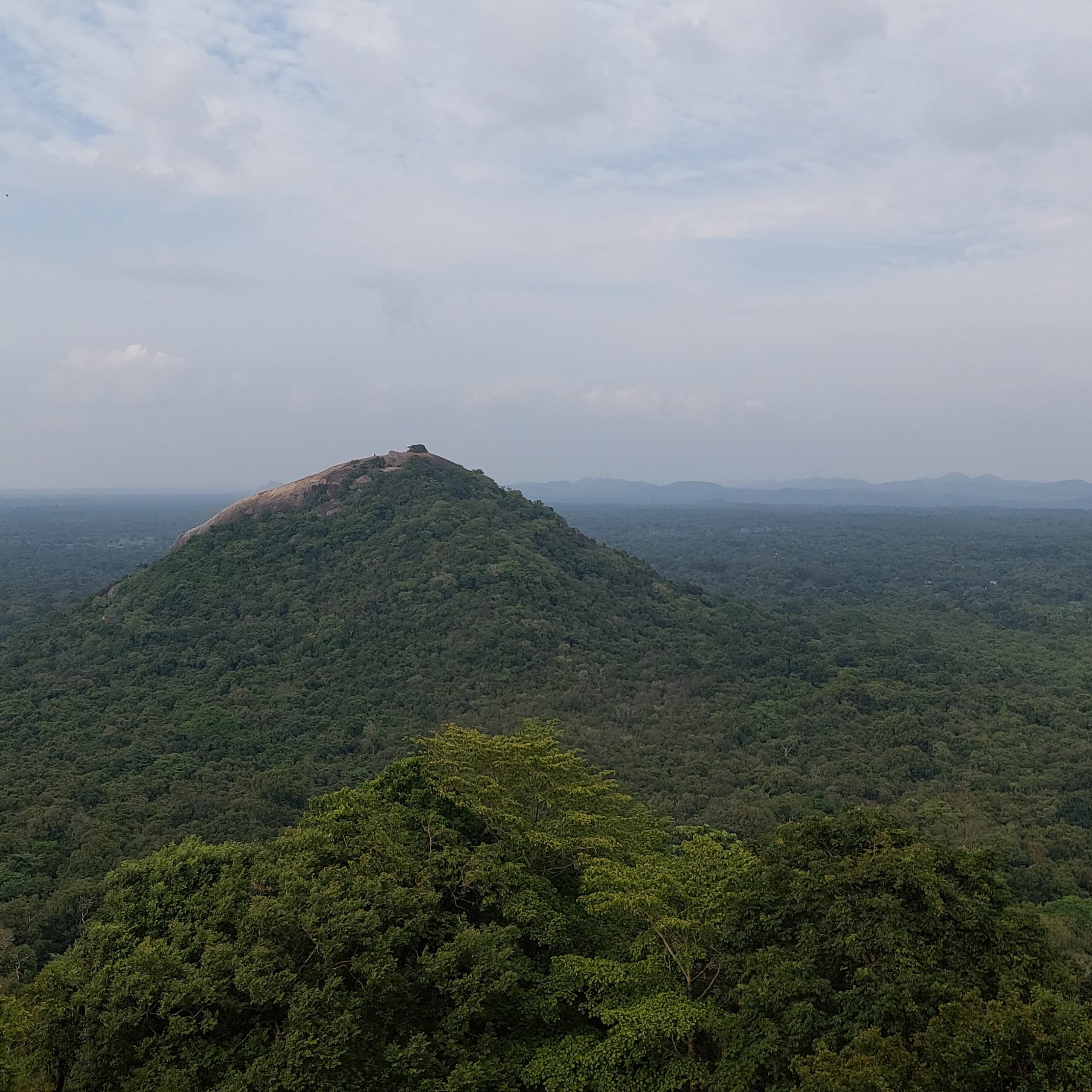 Day 7 – Sigiriya