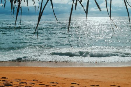 Best time to visit Sri Lanka  monthly guide