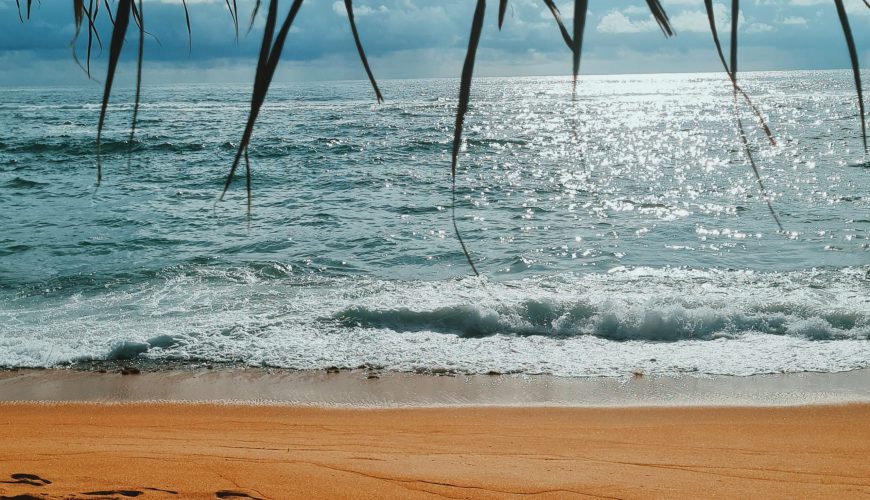 Best time to visit Sri Lanka  monthly guide
