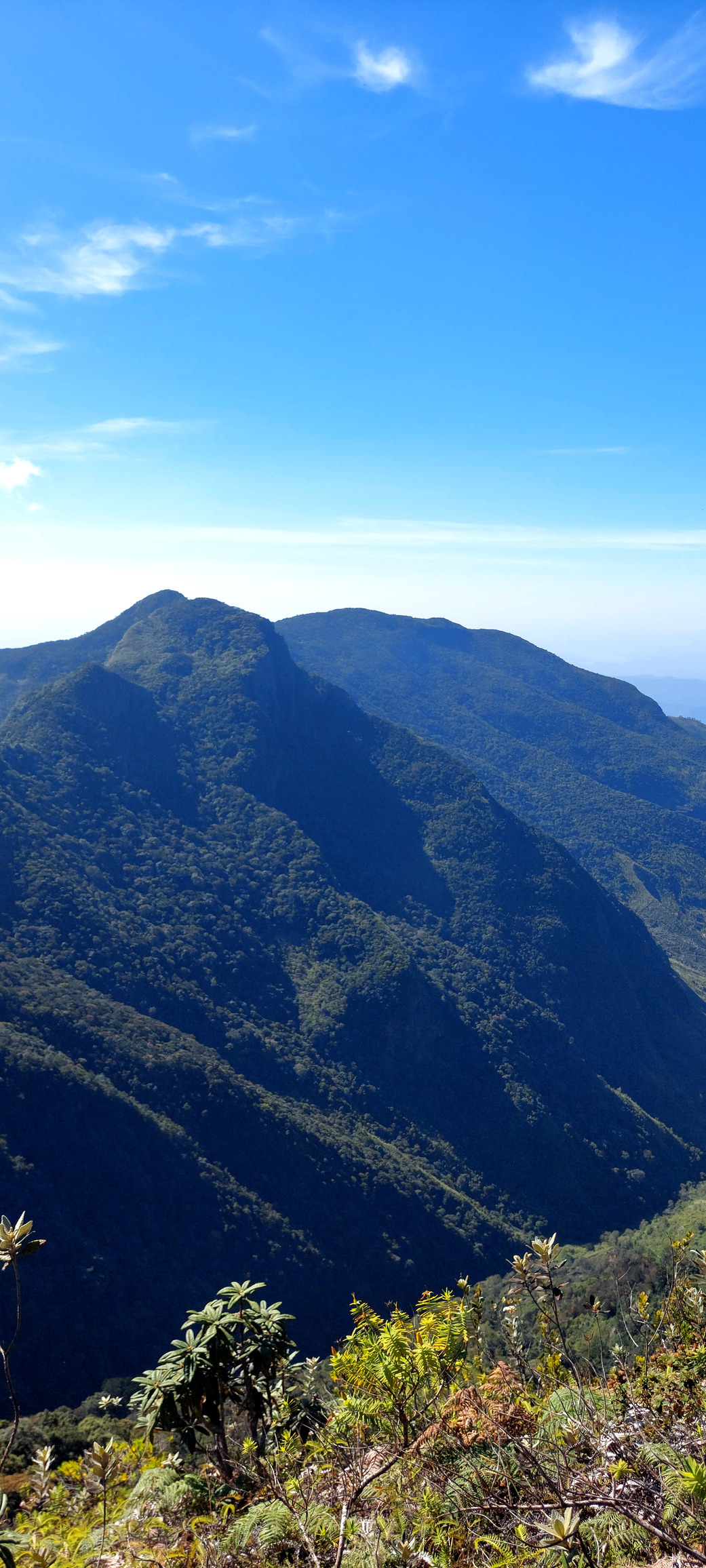 Day 12 – Horton Plains National Park, Maha Eliya, Nuwara Eliya