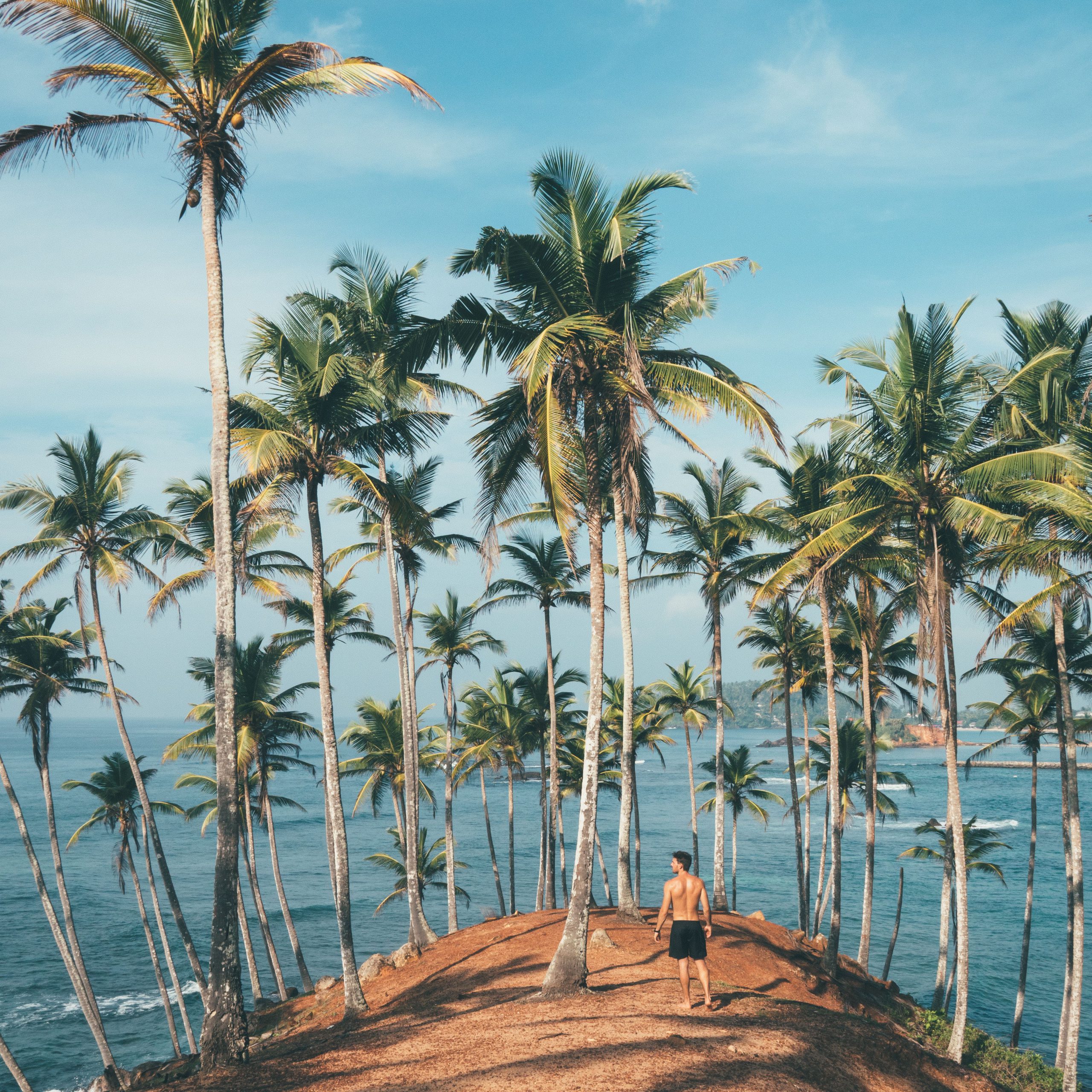 Day 19 – Mirissa