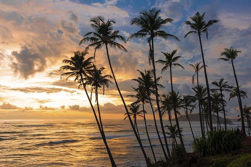Day 12 – Mirissa extended, more into mental freedom